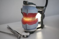 Dental Artis
