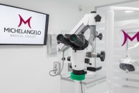 Michelangelo Medical Concept