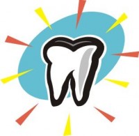 Vicordent 2000 Vicordent 2000