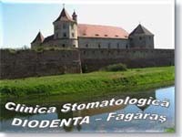 Fagaras Fagaras