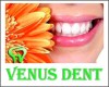 Venus Dent