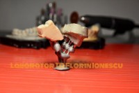 Laborator Dentar Florin Ionescu Laborator Dentar Florin Ionescu