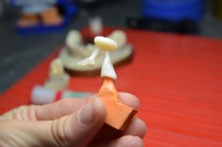 Laborator Dentar Florin Ionescu Laborator Dentar Florin Ionescu