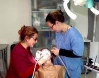 Centrul Stomatologic Medimpex Centrul Stomatologic Medimpex